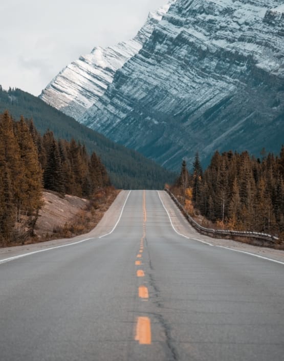 mark-basarab-z8ct_Q3oCqM-unsplash-2