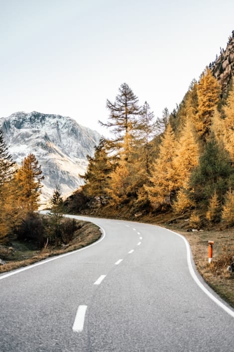 joel-jasmin-forestbird-4S3iMBIappo-unsplash